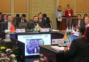 Встреча министров окружающей среды стран БРИКС