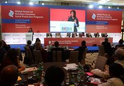 Global Forum on Implementation of Social Protection Programmes for Food Security and Nutrition: Towards Partnership for Development