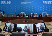 BRICS Healthcare Ministers Meeting